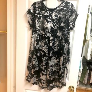 NWOT Sheer silk chiffon pleated dress with slip